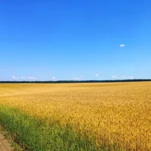 товар